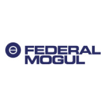 Federal Mogul